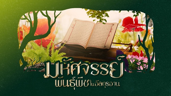 EP.1 มะกอก